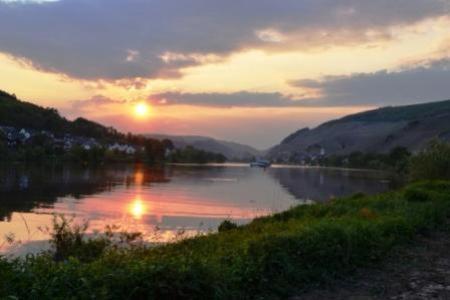 Gastehaus Sabine Ξενοδοχείο Zell an der Mosel Εξωτερικό φωτογραφία