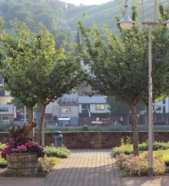 Gastehaus Sabine Ξενοδοχείο Zell an der Mosel Εξωτερικό φωτογραφία